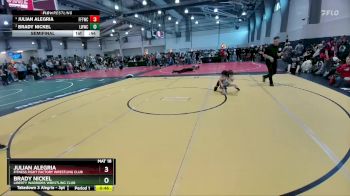 49 lbs Semifinal - Julian Alegria, Fitness Fight Factory Wrestling Club vs Brady Nickel, Liberty Warriors Wrestling Club
