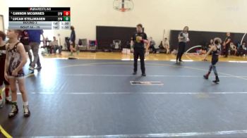 75 lbs Round 3 - Cannon McGinnes, Cobra Wrestling Club vs Lucan Stellwagen, Eastside Youth Wrestling