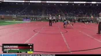 D2-130 lbs Semifinal - Louden Stradling, Gaylord vs Austin Matheney, Madison Heights Lamphere