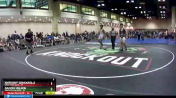 182 lbs Round 7 (8 Team) - Damon Nelson, Diamond Fish Pink vs Anthony Gencarelli, Ohio Titan Gold