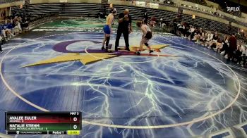 170 lbs Round 3 (4 Team) - Natalie Stiehm, Saint Michael/Albertville vs Avalee Euler, Holmen