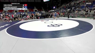 138 lbs Champ. Rd Of 64 - Cael Staggs, NV vs Walker Gaulrapp, MN
