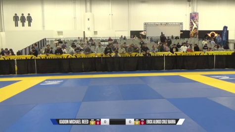 Erick Alonso Cruz Ibarra vs Kadon Michael Reed 2024 World IBJJF Jiu-Jitsu No-Gi Championship