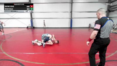 132 lbs Rr Rnd 1 - Zayde Cole, All-American Wrestling Club HS vs Evan Sala, Micky's Maniacs White