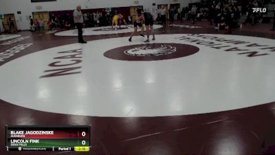 157 lbs Quarterfinal - Blake Jagodzinske, Augsburg vs Lincoln Fink, Sioux Falls