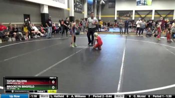 65 lbs Round 3 (4 Team) - Tatum Palsma, Grand View WC vs Brooklyn Binsfeld, MN Storm