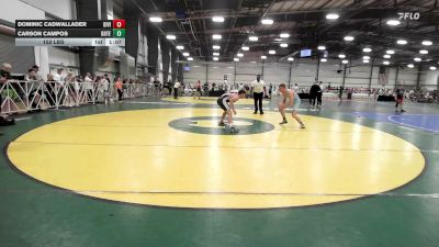 152 lbs Rr Rnd 3 - Dominic Cadwallader, Division-1 Training Center - HSB vs Carson Campos, Botetourt Training Center - HSB