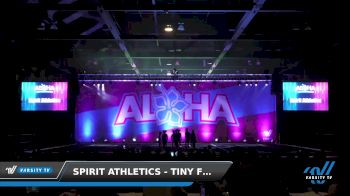 Spirit Athletics - Tiny Fury [2022 L1 Tiny - D2 03/06/2022] 2022 Aloha Phoenix Grand Nationals