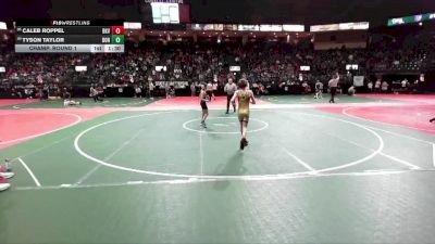 84 lbs Champ. Round 1 - Caleb Roppel, BKV1 vs Tyson Taylor, DONA