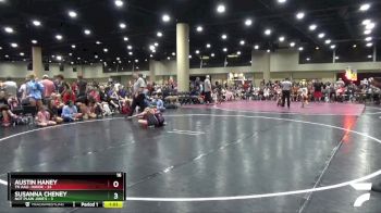 85 lbs Round 2 (4 Team) - Susanna Cheney, Not Plain Jane`s vs Austin Haney, TN AAU- Havok