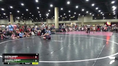 85 lbs Round 2 (4 Team) - Susanna Cheney, Not Plain Jane`s vs Austin Haney, TN AAU- Havok