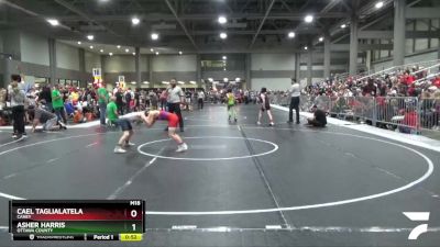 85 lbs Cons. Round 1 - Cael Taglialatela, Caney vs Asher Harris, Ottawa County