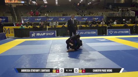 Cameryn Paige Wong vs Andressa Sthefany F. Santiago 2026 Pan Jiu Jitsu IBJJF Championship