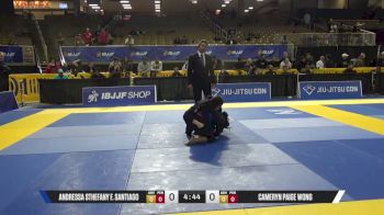 Cameryn Paige Wong vs Andressa Sthefany F. Santiago 2026 Pan Jiu Jitsu IBJJF Championship