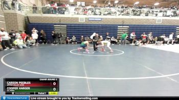 106 lbs Champ. Round 2 - Carson Peebles, Upper Valley Aces vs Cooper Harger, Lil Mavs