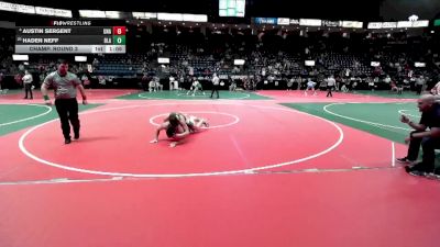 209 lbs Champ. Round 3 - Haden Neff, BLA3 vs Austin Sergent, Unattached