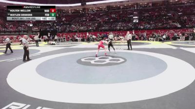 144 lbs Champ. Rd Of 16 - Kolten Mellon, Wadsworth vs Waylen Denkins, Perrysburg
