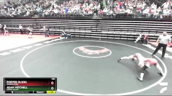 138 lbs Quarterfinal - Porter Olson, Spanish Fork vs Adam Mitchell, Cedar Valley