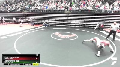 138 lbs Quarterfinal - Porter Olson, Spanish Fork vs Adam Mitchell, Cedar Valley