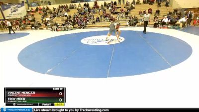 141 lbs Cons. Round 2 - Troy Mock, Elmhurst College vs Vincent Menozzi, University Of Chicago