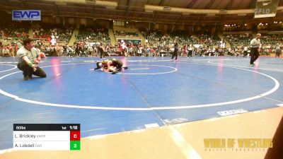 80 lbs Round Of 16 - Logan Brickley, American Dream vs Alex Lobdell, Cowboy Wrestling Club