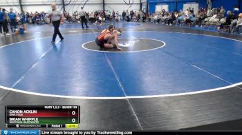 Silver 133 lbs Quarterfinal - Canon Acklin, Iowa State vs Brian Whipple, Wisconsin-Whitewater