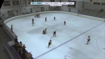 Replay: Home - 2024 Rockets HC vs Bandits U10 AA | Feb 4 @ 10 AM