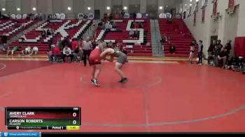 195 lbs Semifinal - Avery Clark, Thompson HS vs Carson Roberts, Mcadory