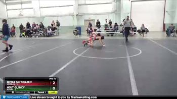 84 lbs Round 7 (8 Team) - Bryce Schnelzer, Scanlan vs Holt Quincy, NCWAY
