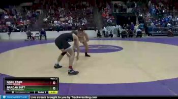 165 lbs 1st Place Match - Bradan Birt, Millikin University vs Gabe Fiser, Loras College