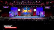 Pittsburgh Pride All Stars - Purple Reign [2026 L6 Limited Senior XSmall Finals] 2026 The Cheerleading Worlds
