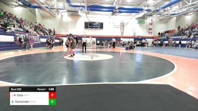 100 lbs Cons. Semi - Anahi Ceja, Morton Cicero vs Daniela Santander, Romeoville (H.S.)