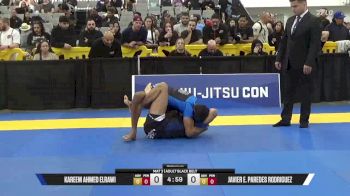 Javier E. Paredes Rodriguez vs Kareem Ahmed Elrawi 2025 World IBJJF Jiu-Jitsu No-Gi Championship