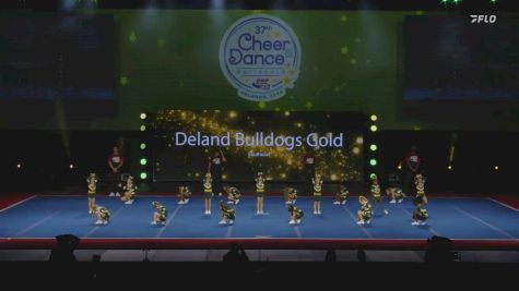 Deland Bulldogs Gold - Southeast [2024 East Coast Pop Warner Wednesday] 2024 Pop Warner National Cheer & Dance Championship