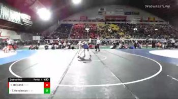 4A 170 lbs Quarterfinal - Tradyn Henderson, Blackfoot vs Treven Hokland, Middleton