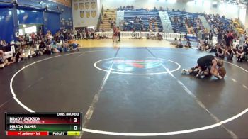 132 lbs Semis & Wb (16 Team) - MASON DAMIS, NFWA vs Brady Jackson, Panhandle Gator Dogs