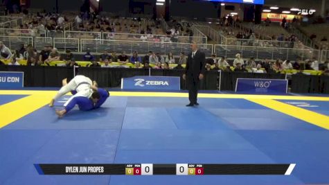 Olandis Michael Mathes vs Dylen Jun Propes 2025 Pan Jiu Jitsu IBJJF Championship