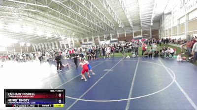 132 lbs Quarterfinal - Zachary Peshell, Team Prestige Wrestling vs Henry Tingey, Champions Wrestling Club