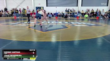 165 lbs Champ. Round 2 - Dominic Hartman, Thiel vs Chase Brandebura, St. Vincent College