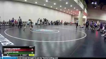 114 lbs Round 1 (10 Team) - Cameron Galvin, SOWA vs Adyson Lundquist, Iowa T-Wrecks