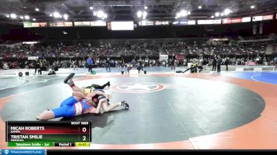 182 lbs Cons. Round 4 - Tristan Smilie, Meridian vs Micah Roberts, Nampa