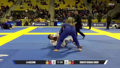 Roberto Rignani Junior vs AJ Agazarm 2025 Master International IBJJF Jiu-Jitsu North American Championship