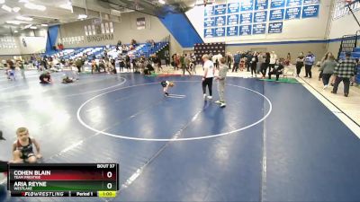 45-48 lbs Round 3 - Aria Reyne, Westlake vs Cohen Blain, Team Prestige