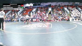 175 lbs Finals (8 Team) - Seth Harvey, Lowell vs Gavin Sebastian, Eaton Rapids