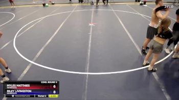 190 lbs Cons. Round 3 - Myles Matthies, Minnesota vs Riley Livingston, Minnesota