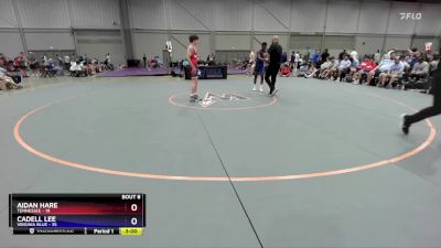 120 lbs Semis & 1st Wrestleback (8 Team) - Aidan Hare, Tennessee vs Cadell Lee, Virginia Blue