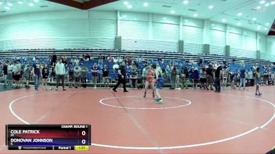 83 lbs Champ. Round 1 - Cole Patrick, MI vs Donovan Johnson, IL