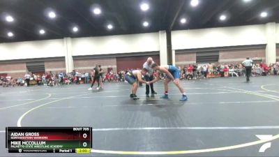 220 lbs Round 1 - Mike McCollum, Palmetto State Wrestling Academy vs Aidan Gross, Northwestern Warriors