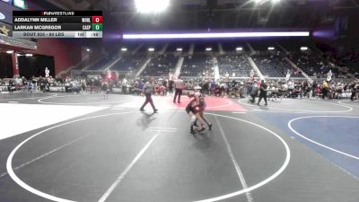 80 lbs Consi Of 8 #2 - Addalynn Miller, Worland WC vs Larkan McGregor, Casper WC