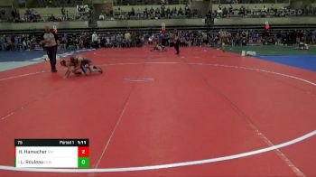 75 lbs Quarterfinal - Liam Rouleau, Chippewa Elite Wrestling vs Harper Hamacher, Grynd Wrestling